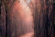 里斯本竞技对阵吉维森特最终比分是多少？这场比赛有哪些关键看点？